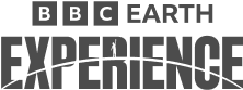 bee-logo 1